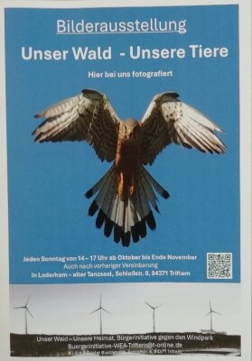 Wir laden sie ein: jeweils Sonntags von 14-17 Uhr können Sie die Ausstellung ohne Anmeldung besuchen.Begleitet wird die Ausstellung mit Fachvorträgen - die Termine werden einzeln bekanntgegeben